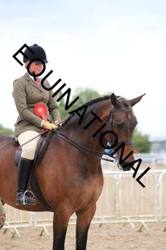 BEN-1826 BEN-1826