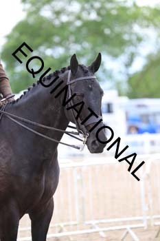 BEN-1833 BEN-1833