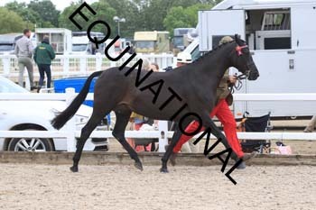 DOV-1406 DOV-1406