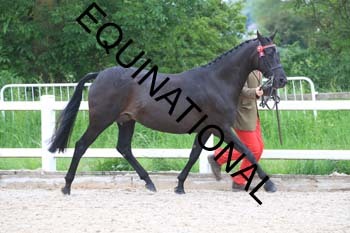 DOV-1409 DOV-1409