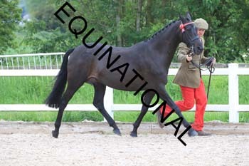 DOV-1410 DOV-1410