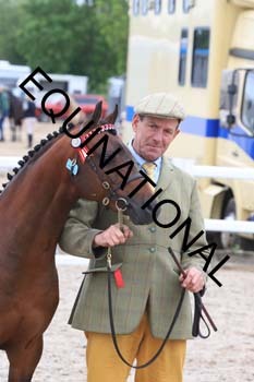 DOV-1433 DOV-1433