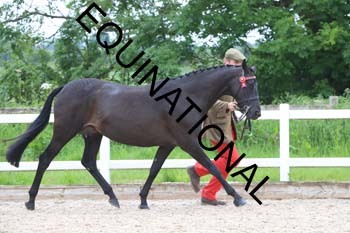 DOV-1441 DOV-1441