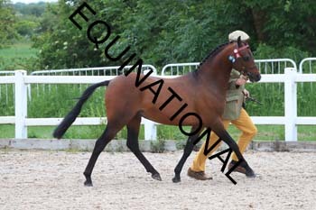 DOV-1445 DOV-1445