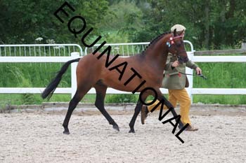 DOV-1447 DOV-1447