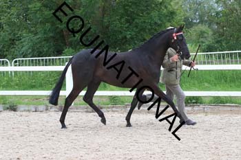 DOV-1479 DOV-1479