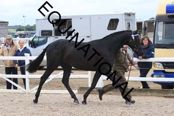 DOV-1482 DOV-1482