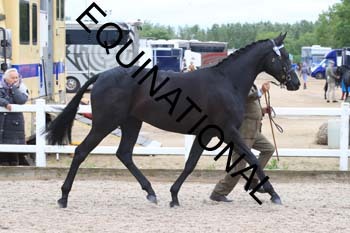 DOV-1484 DOV-1484