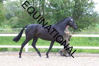 DOV-1485 DOV-1485