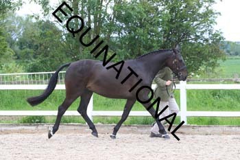 DOV-1488 DOV-1488