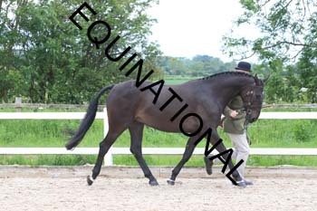 DOV-1489 DOV-1489