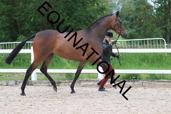 DOV-1490 DOV-1490