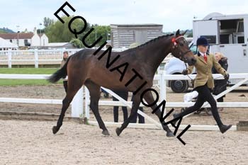 DOV-1494 DOV-1494