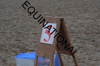 ERK-1244