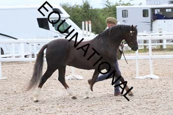 ERK-1468