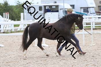 ERK-1469