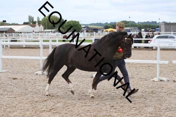 ERK-1473