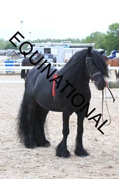 ERK-1839