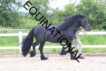ERK-1864