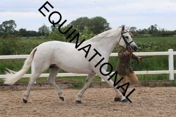 ERK-1878
