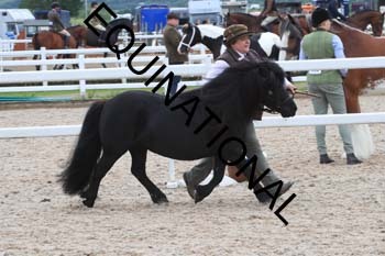 ERK-2180