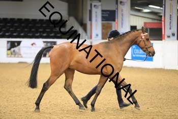 FAF-1136