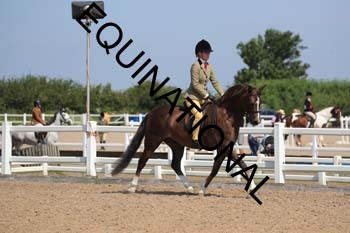 HKM-1541