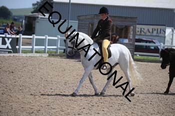 HKM-1899