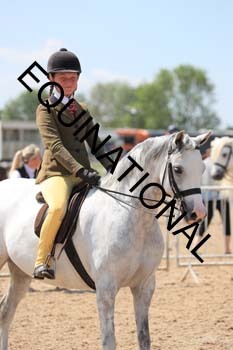 HKM-1936