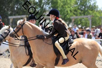 HKM-2036