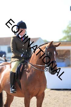 NOP-1144