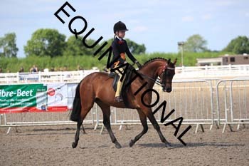 NOP-2416