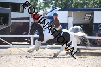 QVS-2013