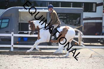 QVS-2015