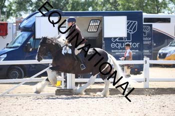 QVS-2019