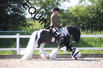 QVS-2078