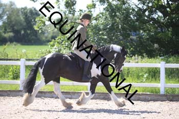 QVS-2079