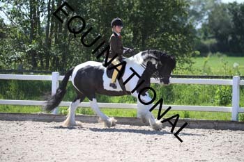 QVS-2090
