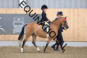 WZY-1203
