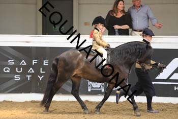WZY-1783