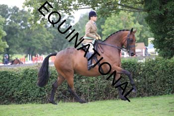 SAS-5204