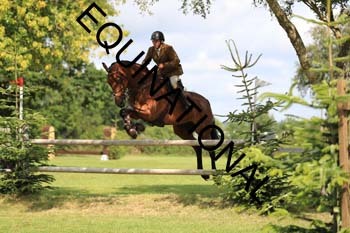 DQW-2006
