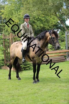 DQW-3100