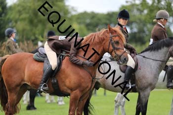 DQW-3133