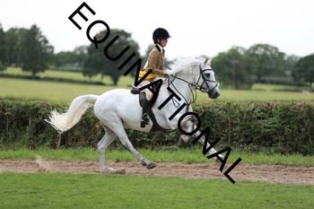 DQW-3193