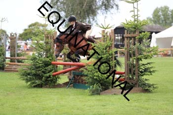 DQW-3331