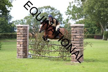 DQW-3348
