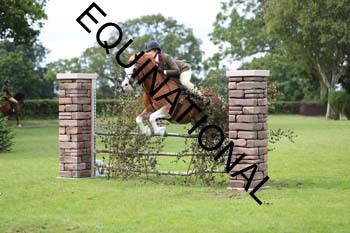 DQW-3372