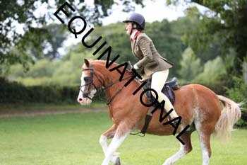 DQW-3373