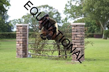 DQW-3397